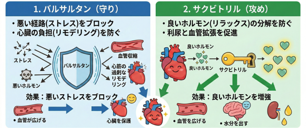 エンレストは「慢性心不全」と「高血圧症」の2つの適応症